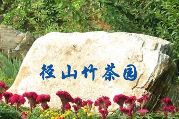 杭州径山竹茶园